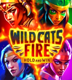 Wild Cats Fire