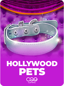 Hollywood Pets