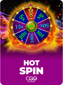 Hot Spin